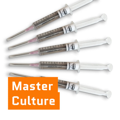 Master culture