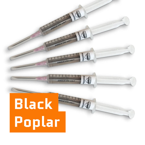 Black Poplar Liquid Culture Syringe 12ml or 22ml