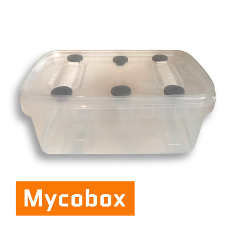 Myco Box